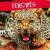 Ferozes (Explicit) - Taz Mureb&MC Leti&Lisy the Rapper