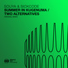 Two Alternatives - SICKCODE&SOUYA
