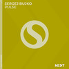 Pulse - Sergej Bujko