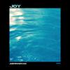 JOY - Justin Novak