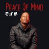 Peace of Mind - Tuf B