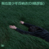 我也曾少年百衲衣 (翻奏: 赵洋) - Dj晓彦