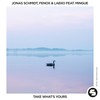 Take What's Yours - Jonas Schmidt&Fenox&Laeko&Mingue