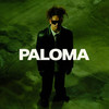 100 DEGREES (Explicit) - Lu