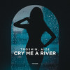 Cry Me a River - Troshin&AiZe