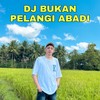Dj Bukan Pelangi Abadi - Farel Alfara&Tomy