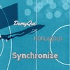 Synchronize (Explicit) - DamyQue&Horlagold