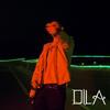 DILA - Dixit
