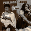 Feelings & Love - Gabi DeFeel&Jaredo