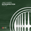 Introspection - Jake Kaiser