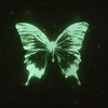 Nightcrawler (Explicit) - DOXXTR