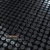 Siegfried Idyll - Loading