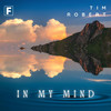 In My Mind (Radio Edit) - Tim Robert