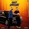 Kaley Sheshe (Explicit) - Addy Nagar&Aniket Jain