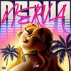Nerva - FODI