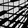 EL_RING_PISTA - Zaimonmc
