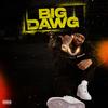 Big Dawg (Explicit) - 1247 Swift