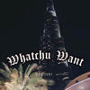 Whatchu Want (feat. Sirpedro & T2K) (Explicit) - DL0W&Sirpedro&T2K