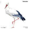 It Is Everywhere - Nebulate