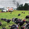 Like You Love Me (Explicit) - Starlito