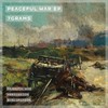 Peaceful War (Original Mix) - 7Grams