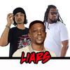 Liars (feat. Boosie BadAzz) (Explicit) - Half Deezy&DT The Artist&Boosie Badazz