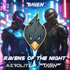 Ravens Of The Night (Extended Mix) - Aerolite&Talon