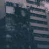Guilt - Foxwedding