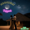 Moonlight - Triggah