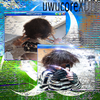 uwucoreXDDD - desola1ed