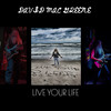 Blind Leading the Blind - David Mac Greene&David Smith