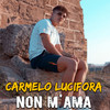 Non m'ama - Carmelo Lucifora