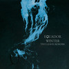 Winter - Tiny Leaves Rework (Tiny Leaves Rework) - Equador&Bo Bruce