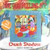 Are You Feeling It? - Chuck Shadow&Kelly Lindau