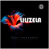 Lilizela - Biggy K&Ziiko M&Under P