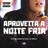 Aproveita a Noite Fria (Explicit) - DJ MONTANHA&Dj Chipoka&Mc Johnatan ZS&Mc Luizinho LZ