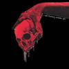 i will ******* murder you (Explicit) - CRX