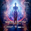 Reminiscence (Original Mix) - Sonic Entity