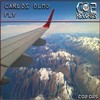 Fly - Carlos Olmo