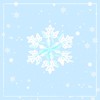 Fairy Light - KiraraMagic&Couple N