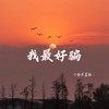 我最好骗 (伴奏) - 小张不嚣张