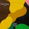 Can't Say - Visibly True&Diztord