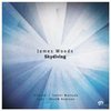 Skydiving (Takaki Matsuda Remix|- remix) - James Woods