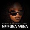 Ngifuna Wena - The Meister&Louie Van Wolf&Ceefuu