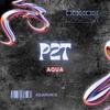 P2T (Explicit) - Aqua