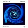 Elektronische (Remix) - David Hess&Jolk