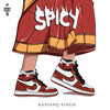 SPICY - Kanishq Singh