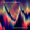 1000 Lonely Miles (feat. Andrew L, Alex O'Brien & Ruth Morayniss) - Captain Stormfield's Trip&Andrew L&Alex O'Brien&Ruth Morayniss