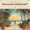 Have You Ever Seen The Rain? - Alberto Ciccarini&Poul