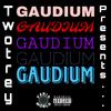 DA HILL Interlude (Explicit) - 708Ontario&Twotrey&Nugg